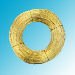 世界怎么了？黃銅圓線得多讀書(shū)多看報(bào)了